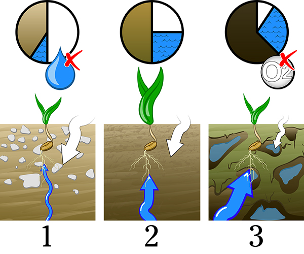 soil-compaction-water-transport-restricted_new.jpg