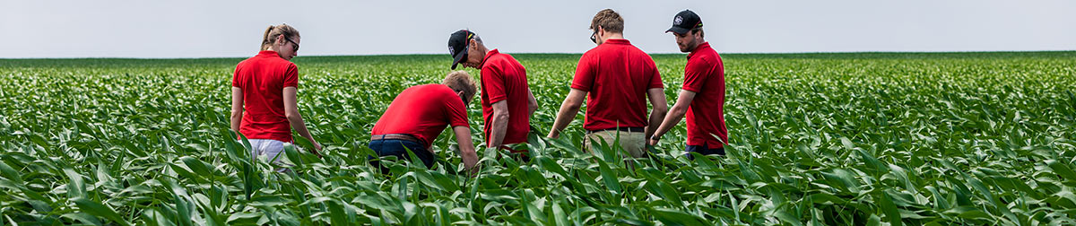 Väderstad Tempo Menschen im Feld